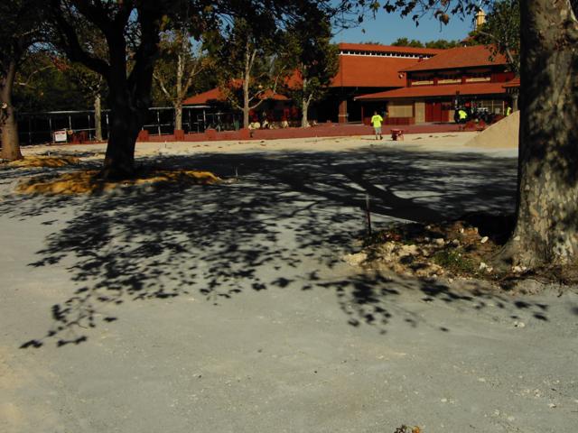 PIC00831.JPG